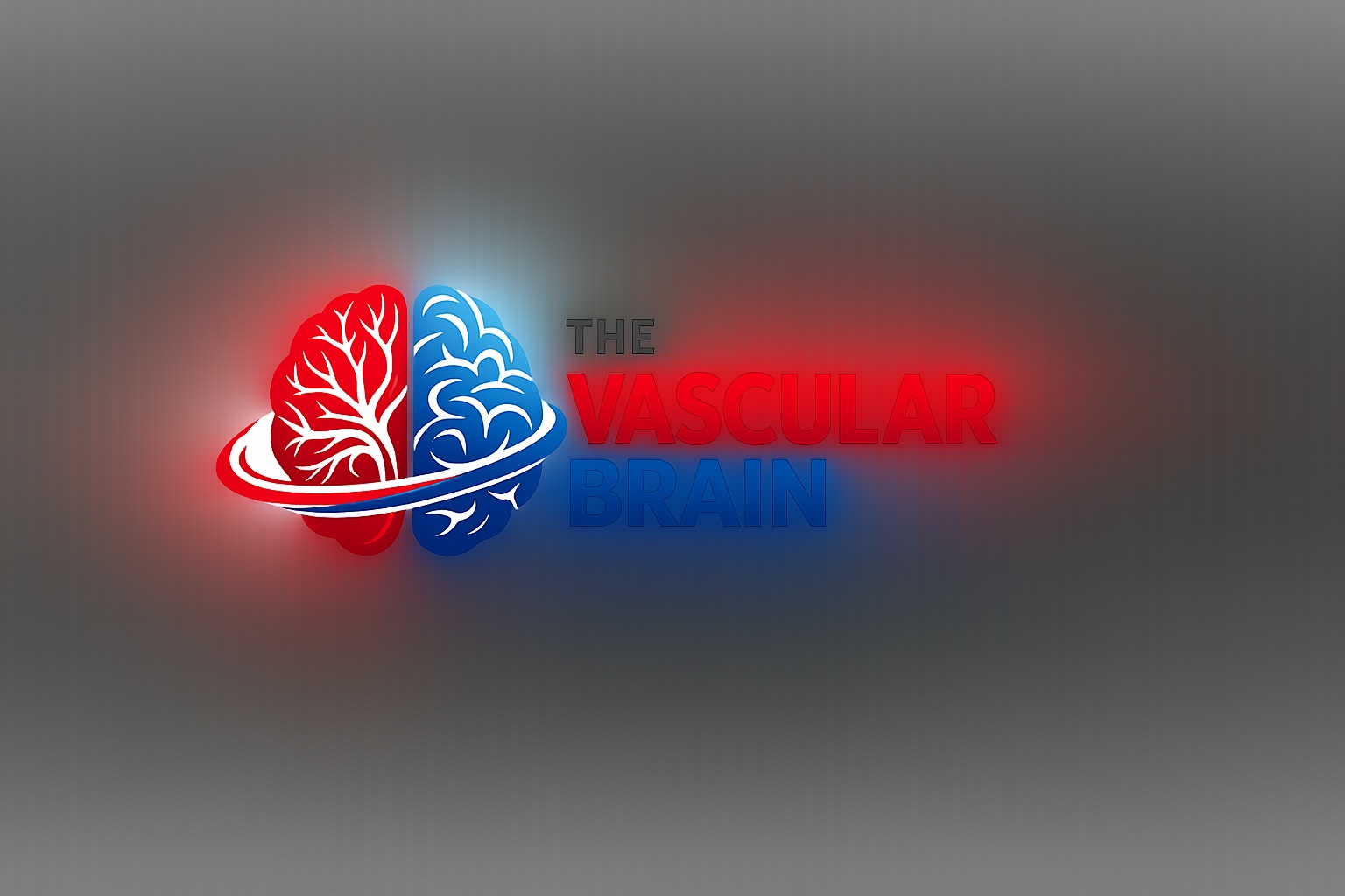 TheVascularBrain